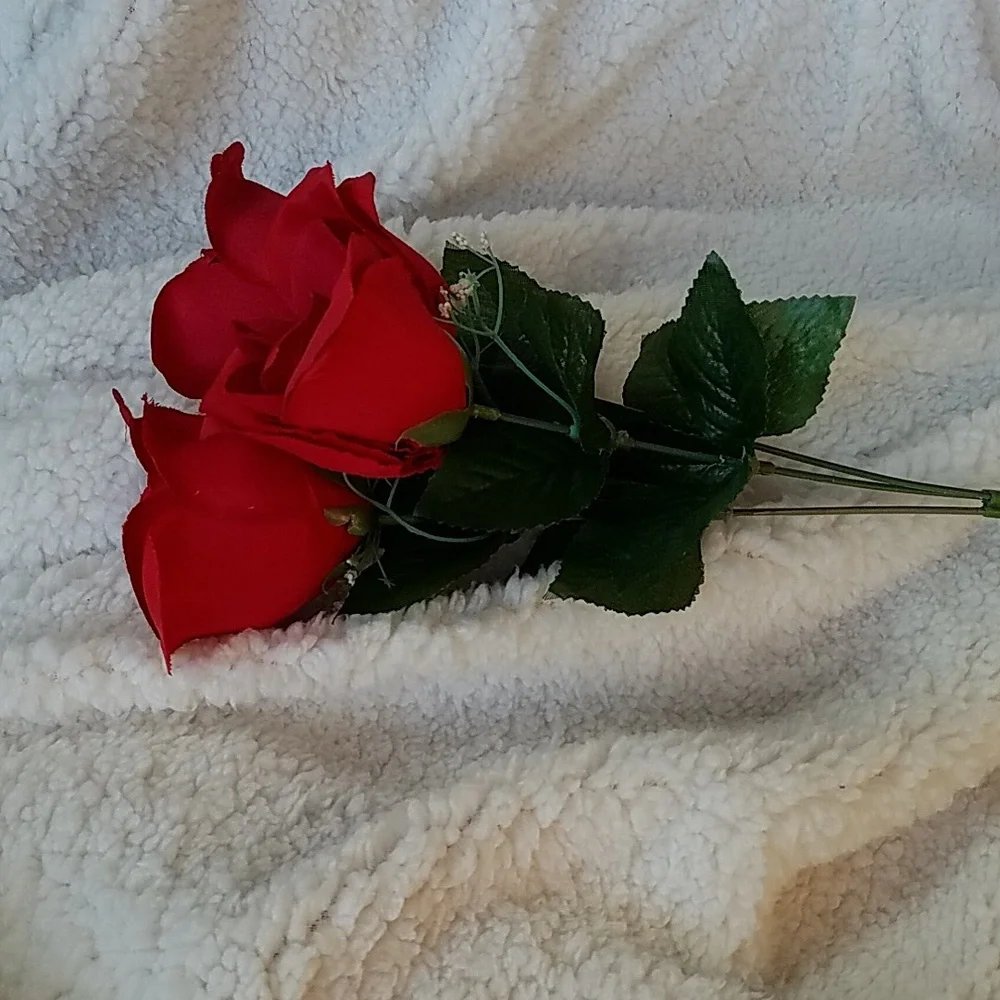 3 LONG STEM ROSES